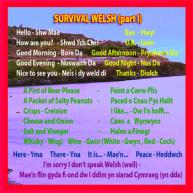 Survival Welsh Part 1